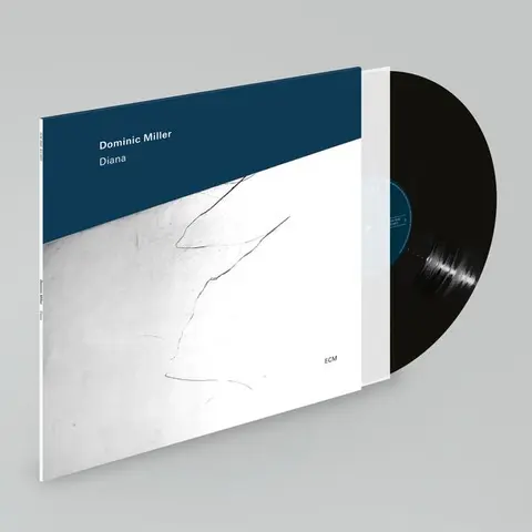 Dominic Miller – Vinyl DIANA