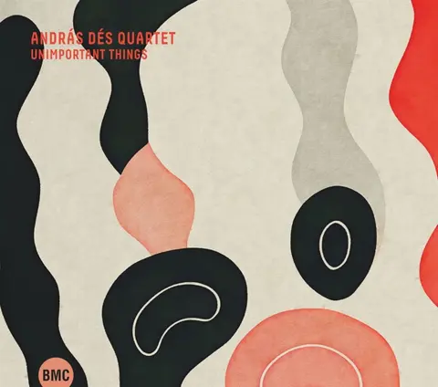 András Dés Quartet – CD UNIMPORTANT THINGS