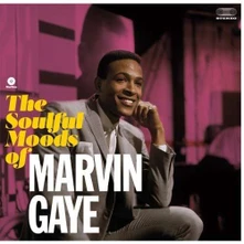 Vinyl The Soulful Moods Of Marvin Gaye