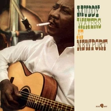 Muddy Waters, Vinyl AT NEW PORT