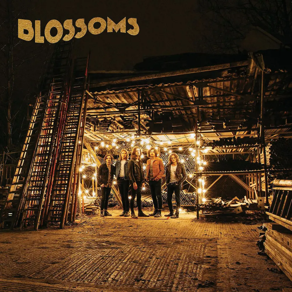 BLOSSOMS (Vinyl)