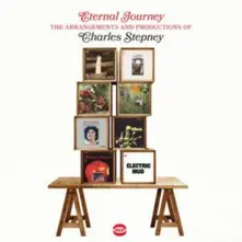 ETERNAL JOURNEY - THE ARRANGEMENTS AND PRODUCTIONS OF CHARLES STEPNEY thumbnail