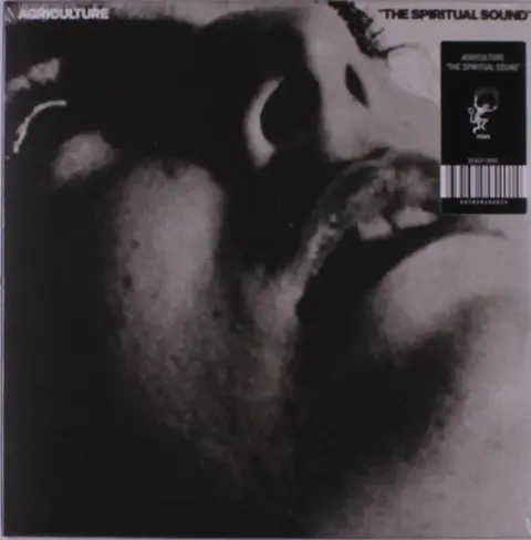 The Spiritual Sound