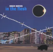 CD In The Flesh - Live