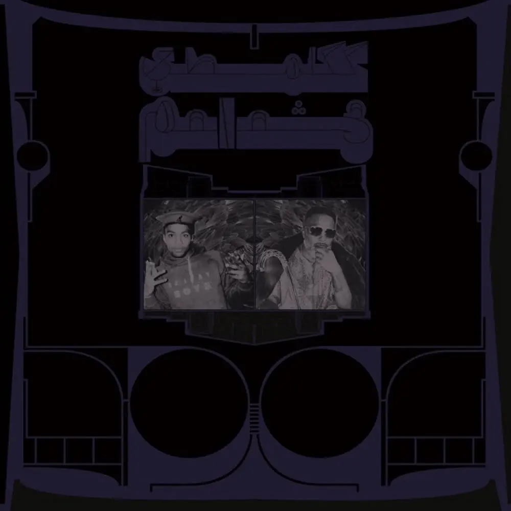Shabazz Palaces – EXOTIC BIRDS OF PREY (Vinyl)