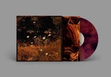 Vinyl EARTH PATTERNS