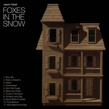 CD FOXES IN THE SNOW