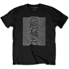 Unknown Pleasures thumbnail