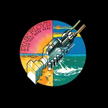Pink Floyd, Vinyl Wish You Were Here