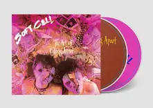 CD THE ART OF FAILING APART