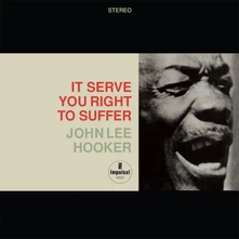 Vinyl HOOKER, JOHN LEE - IT SERVE YOU RIGHT