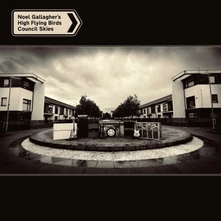 CD COUNCIL SKIES