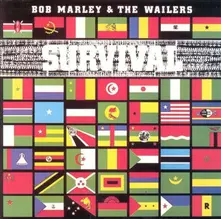 Vinyl SURVIVAL