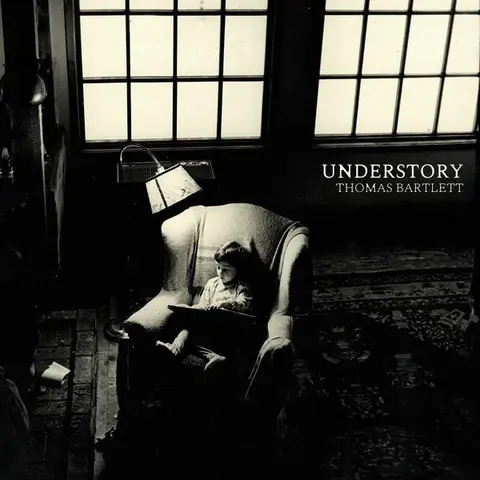 Thomas Bartlett – Vinyl UNDERSTORY