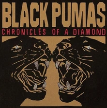 Black Pumas, CD CHRONICLES OF A DIAMOND