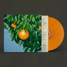 Vinyl FOR THE FIRST TIME, AGAIN