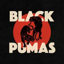 BLACK PUMAS thumbnail