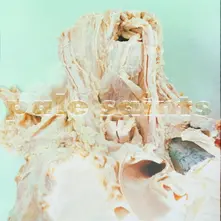 IN RIBBONS thumbnail