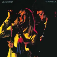 Vinyl At Budokan -Complete-