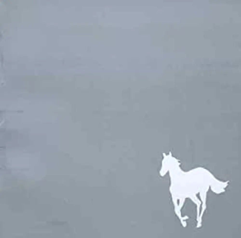 WHITE PONEY