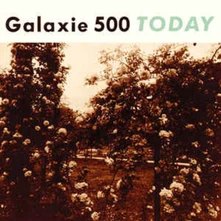 Galaxie 500, Vinyl TODAY