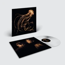 Vinyl BACK TO THE WATER BELOW (INDIE)