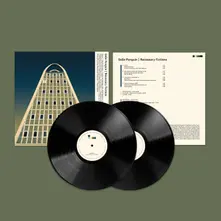 Vinyl Necessary Fictions