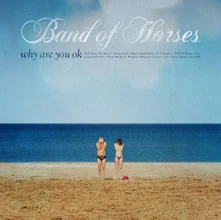 Vinyl BAND OF HORSES - WHY ARE YOU OK
