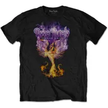 Phoenix Rising thumbnail