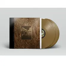 C'MON PILGRIM...IT'S SURFER ROSA thumbnail