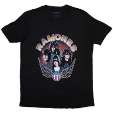 Vintage Wings Photo thumbnail
