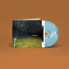 Yo La Tengo, CD THIS STUPID WORLD