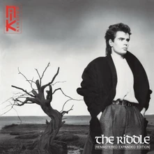 CD THE RIDDLE