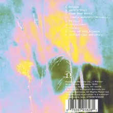 SAM AMIDON thumbnail