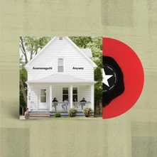 Vinyl ANYWAY