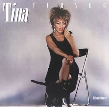 Tina Turner, Vinyl Private Dancer