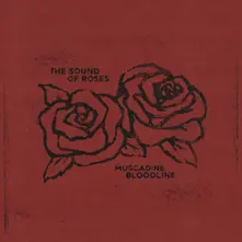 THE SOUND OF ROSES thumbnail