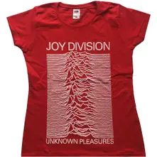 Unknown Pleasures