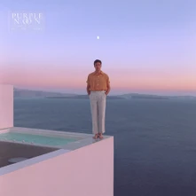 Washed Out, CD PURPLE NOON