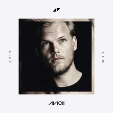 Avicii, Vinyl TIM