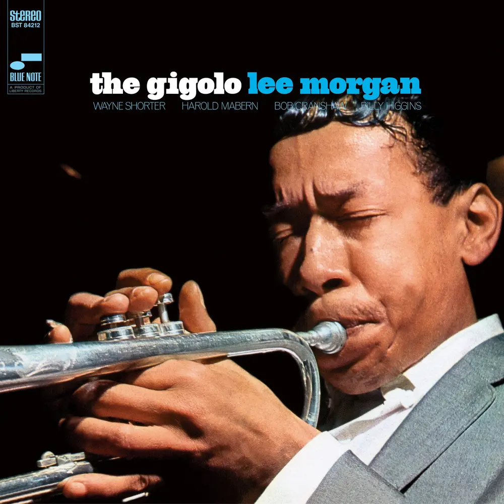THE GIGOLO