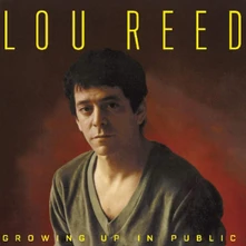 Lou Reed, CD Growing Up In Public