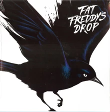 Vinyl Blackbird