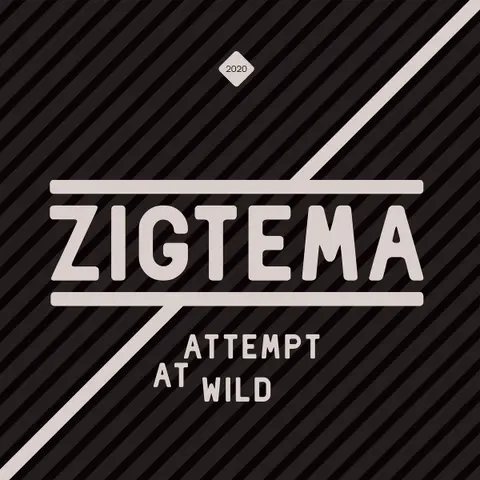 ATTEMPT AT WILD
