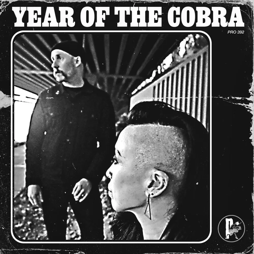 YEAR OF THE COBRA