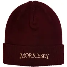 Unisex Beanie Hat: Arched Logo (Maroon Red) thumbnail