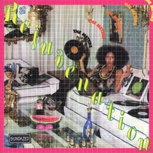 The Meters, Vinyl Rejuvenation