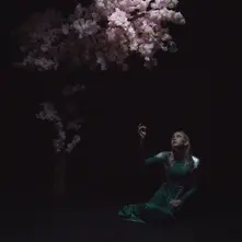 AS THE LIGHT LEFT thumbnail
