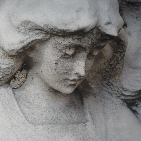 SHEPHERDS & ANGELS