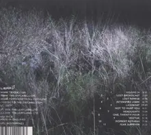 THE HEADLIGHT SERENADE thumbnail